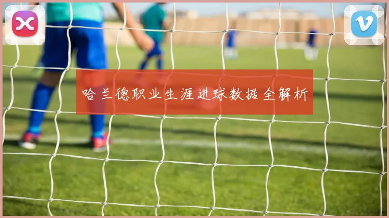 哈兰德职业生涯进球数据全解析