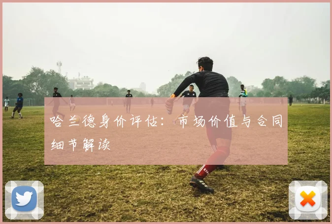 哈兰德身价评估：市场价值与合同细节解读