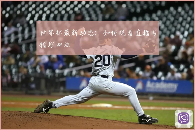 世界杯最新动态：如何观看直播与精彩回放