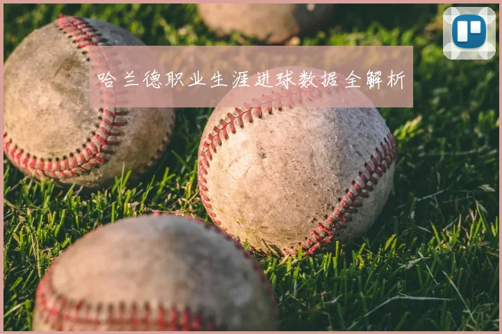 哈兰德职业生涯进球数据全解析